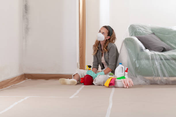 Reliable Mold Remediation contractor in Clay, KY by 24 Hour Mold Removal